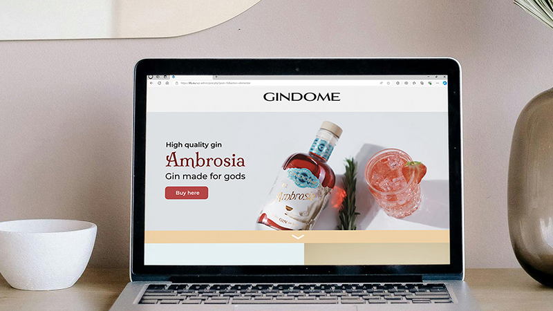 Read more about the article Gindome Webdesign
